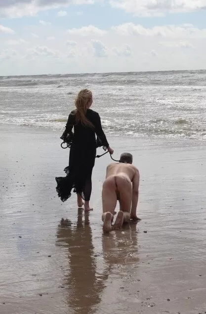 Taking him out for a walk on the beach