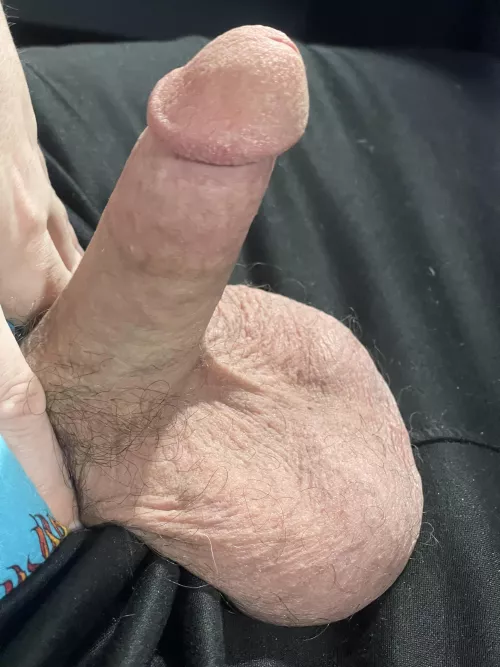 They look so big splayed out like this