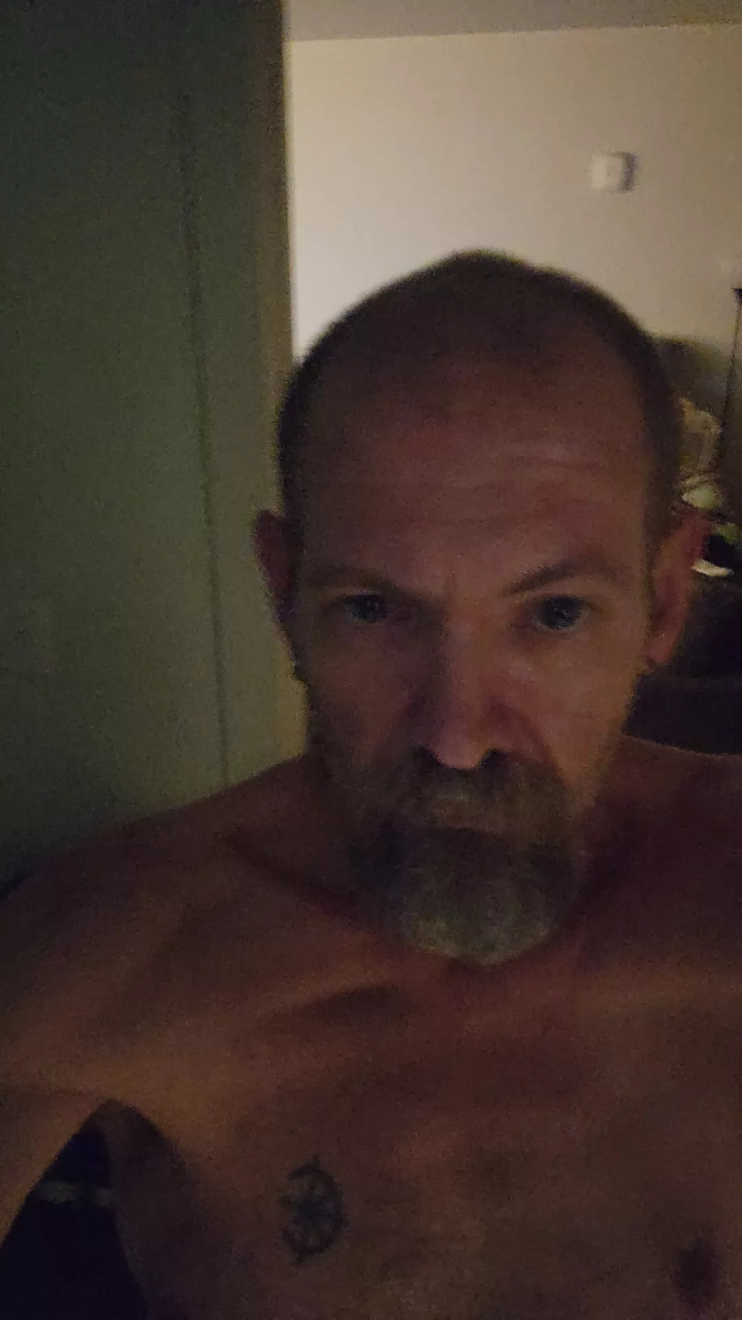 tonight's submission is going to be no holds barred