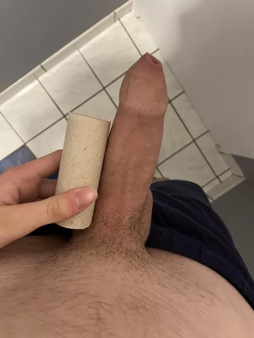What do you guys think ? Is that big ?