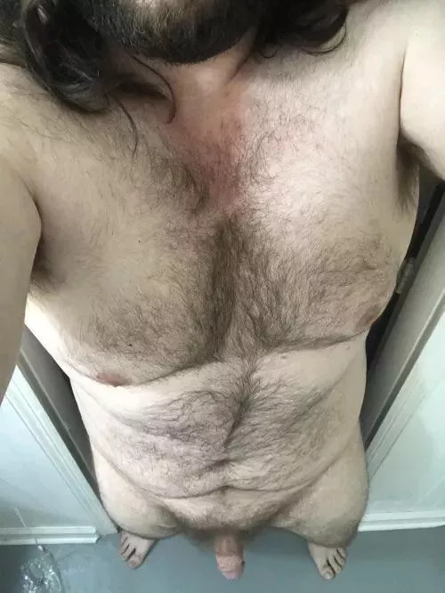 What do you guys think of my bear body? DMs open