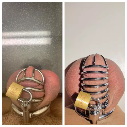 Who should stay locked? Right, left, or both? Ball punch for each comment. Least votes gets to cum 🤭