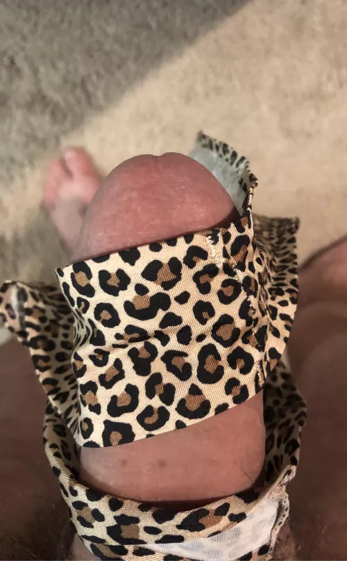 Who wants to smell/taste my wife’s thong?