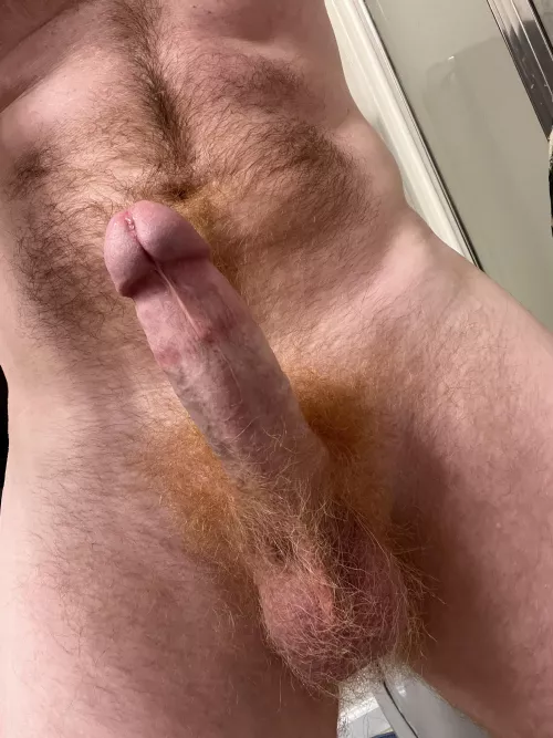 Who’s a fan of a red bush?