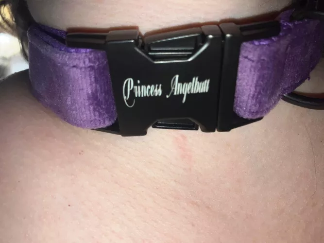 Wifey got her first personalized collar. My good girl Princess Angelbutt