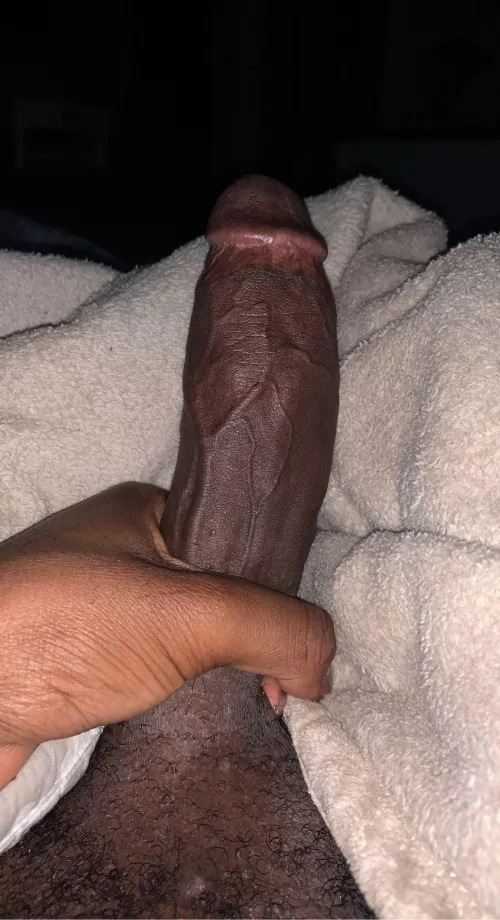 Woke up ready to fuck