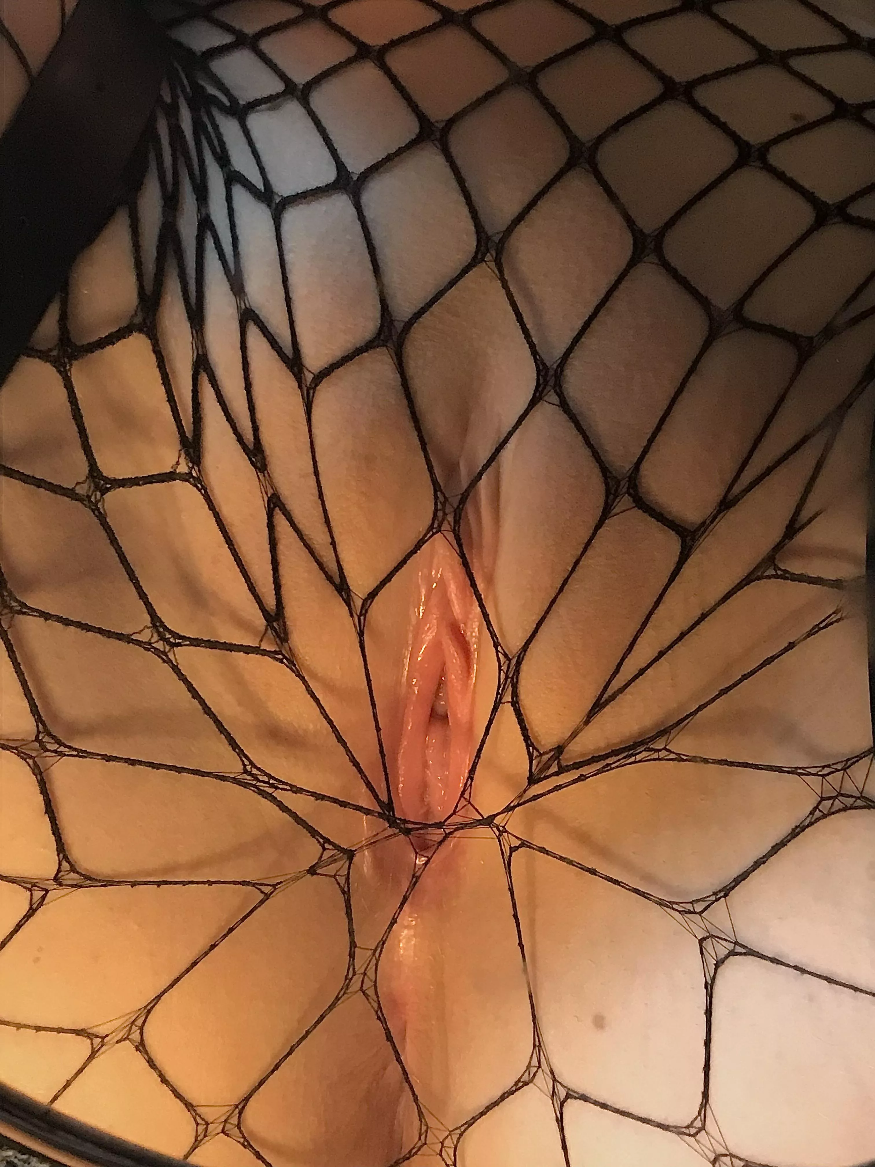 Would you eat through the fishnets?