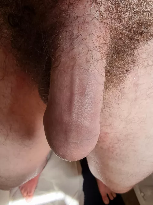 18) semi hard foreskin dangling