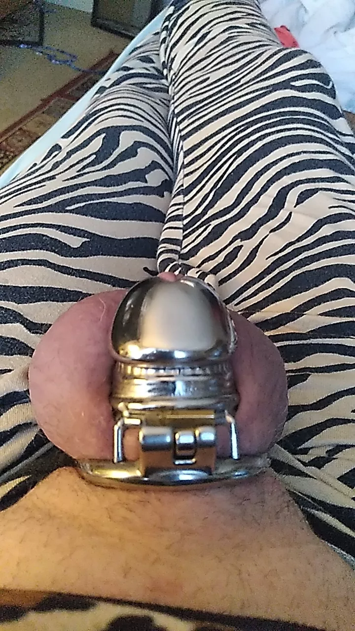 337 days I think I can say that this is permanent don't you?