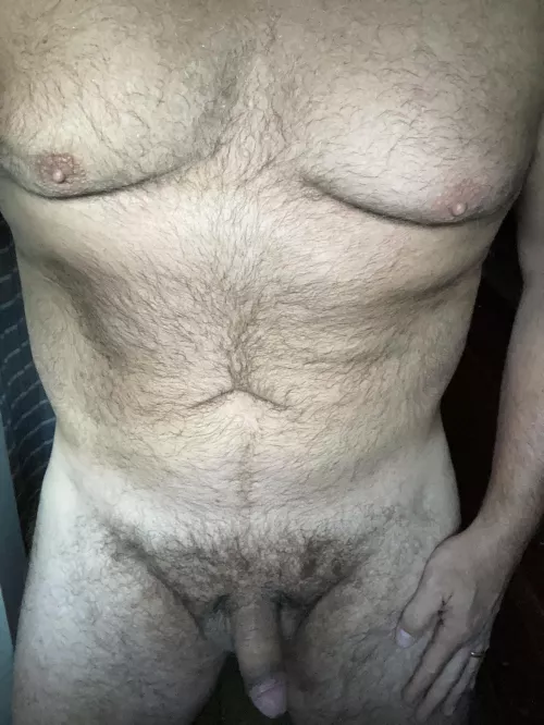 52, come and enjoy this old bear