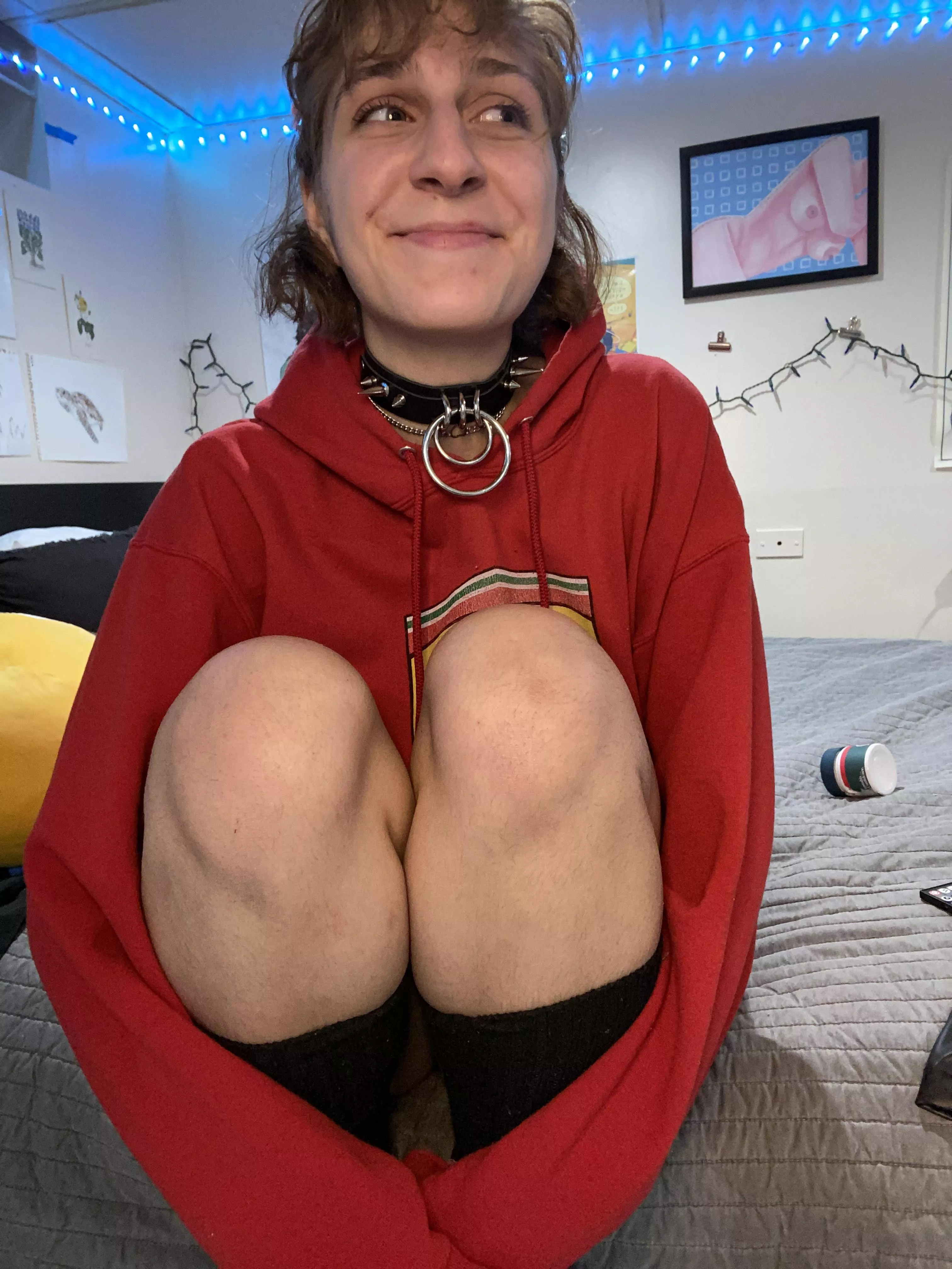 All I need now is a leash