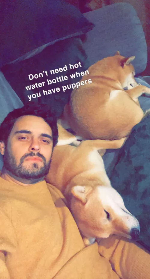 Cosy night in with the puppers