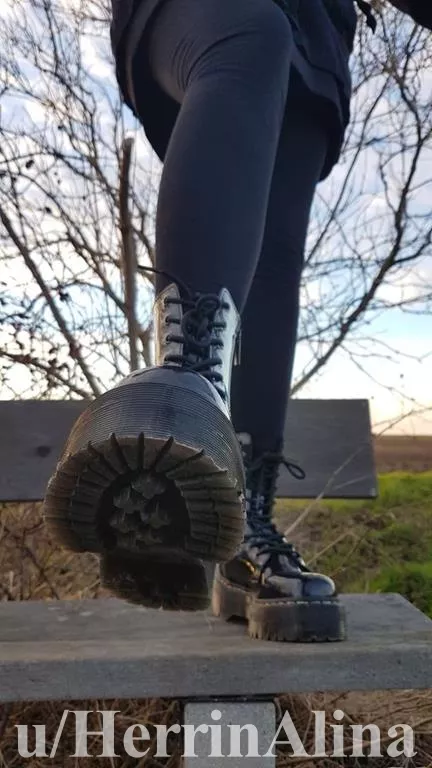 [domme] licking or kicking?