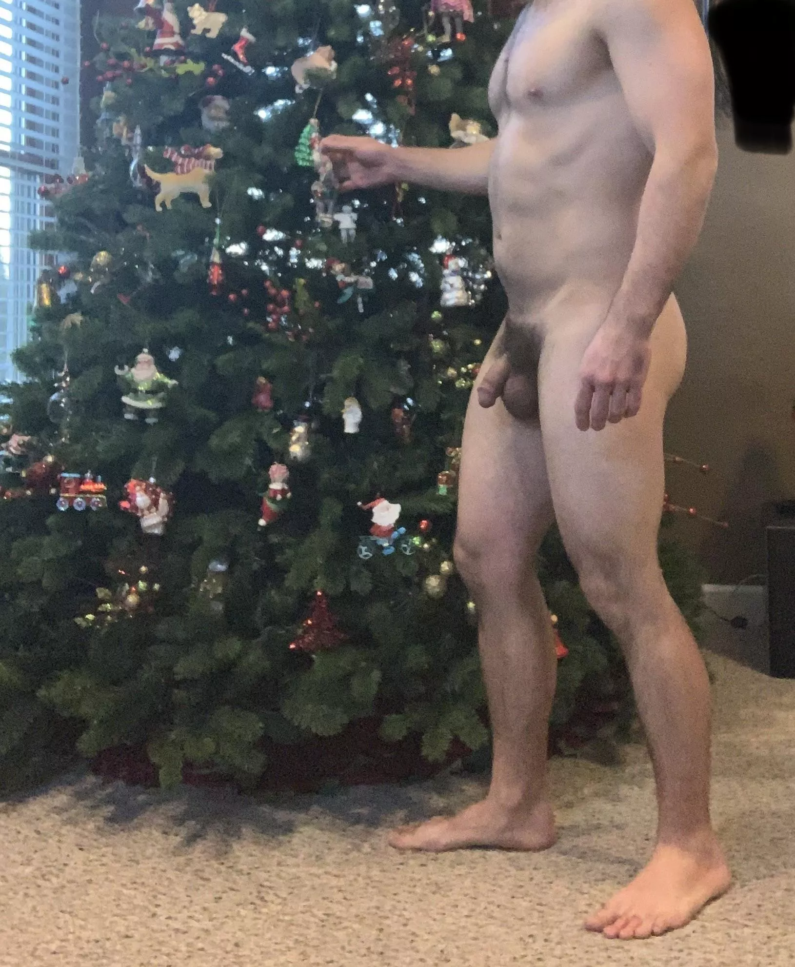 Finding some bare spots to hang ornaments and make the tree look fantastic. I love the holidays.