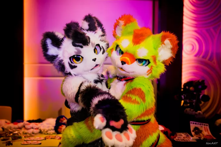 @furrygintan & @zaizaidragon on Twitter