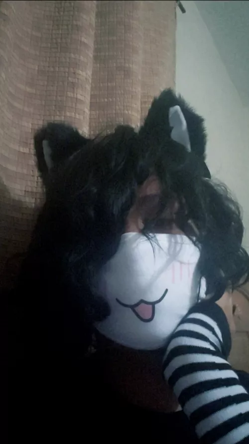 Got some cat ears, I look kinda goofy😣