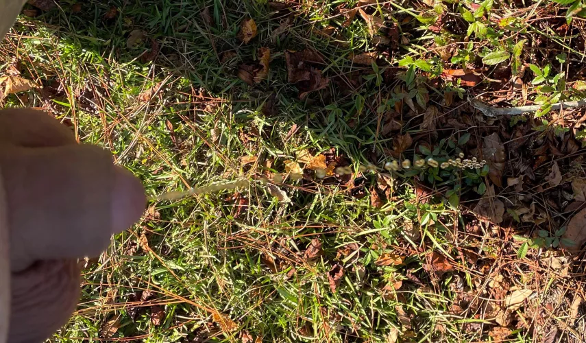 Had to find a bush on the golf course.