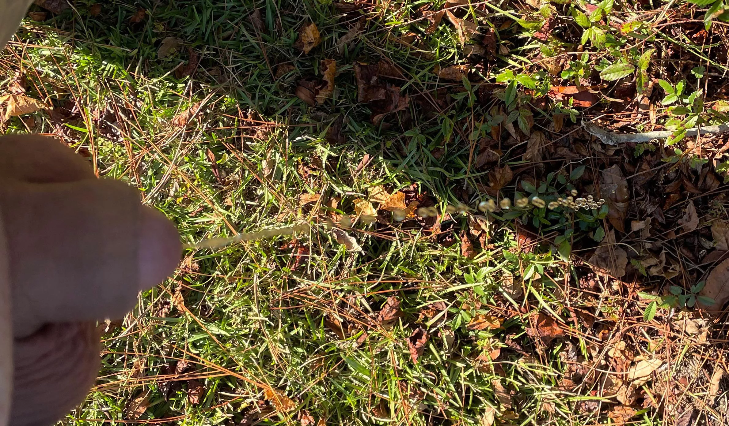 Had to find a bush on the golf course.