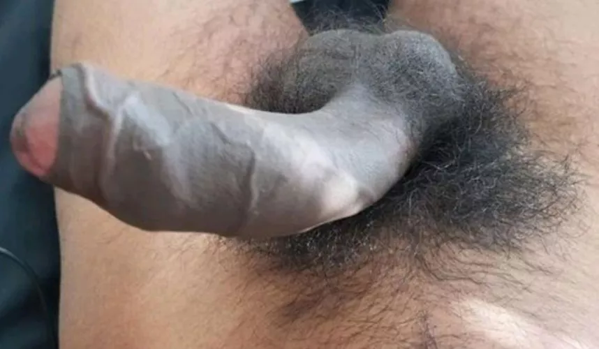 Hairy bush