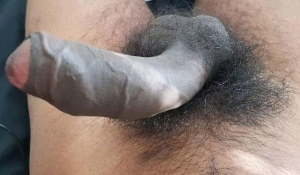 Hairy bush