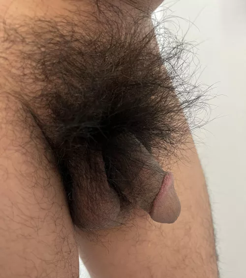 Haven’t shaved in over a year! 25