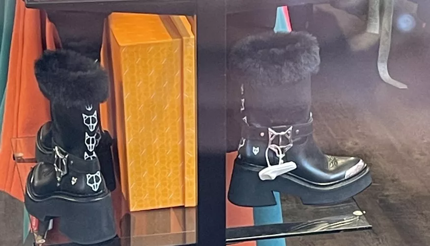 Help! Does anybody know the brand of these boots?