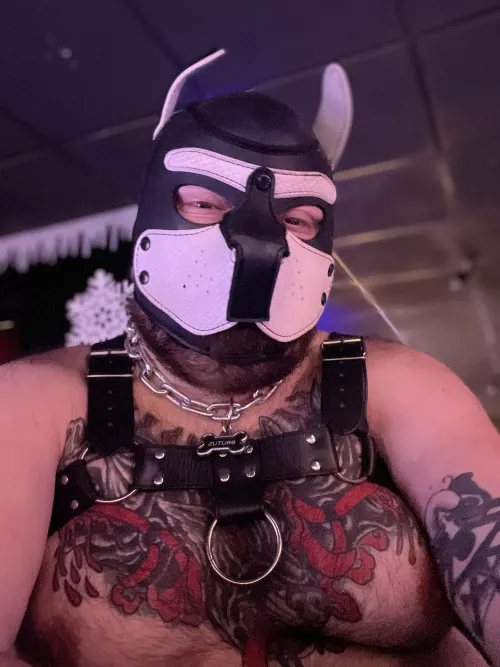 I’m curious about being housebroken. Anyone care to help?