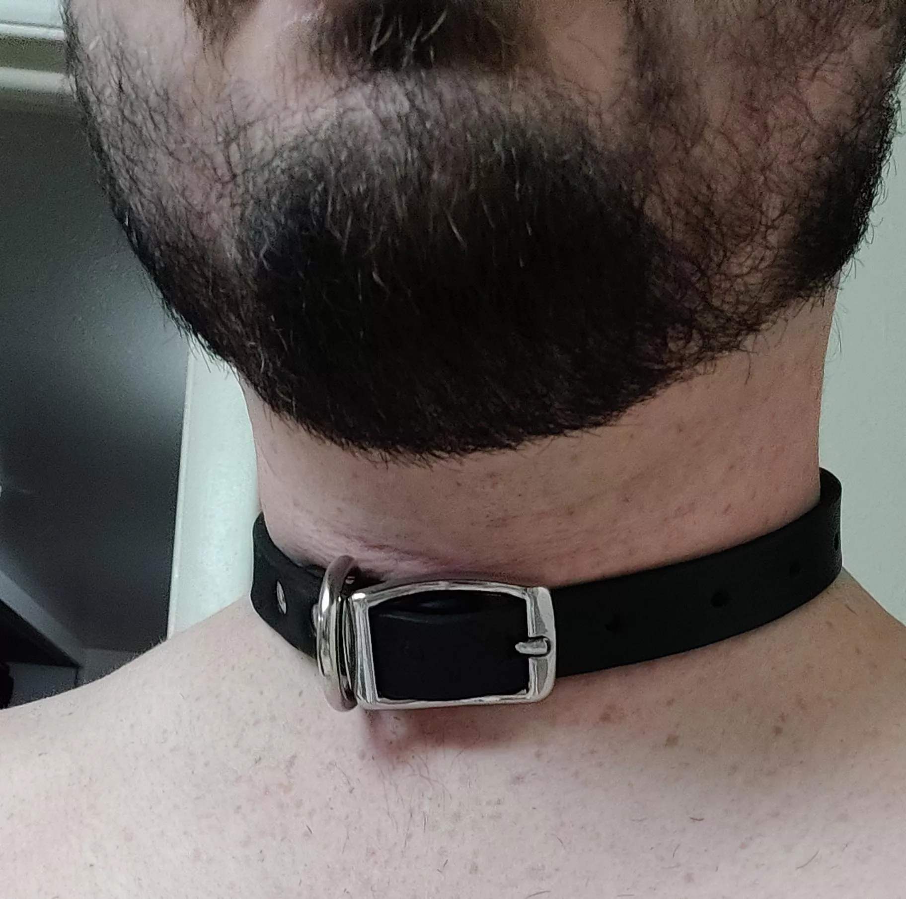 It's exactly the collar I've dreamed of for years! I'm so happy!