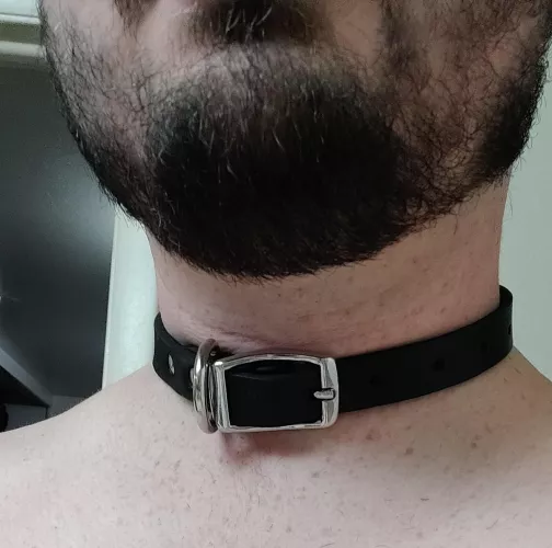 It's exactly the collar I've dreamed of for years! I'm so happy!