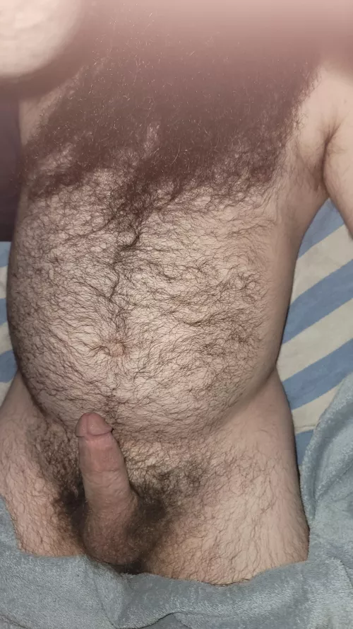 late night horny beard and boner