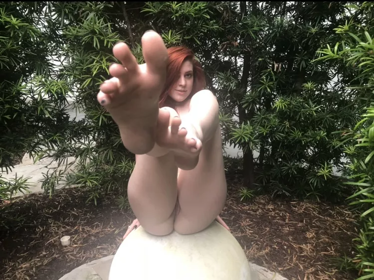 Lost in a hedge maze 🌳