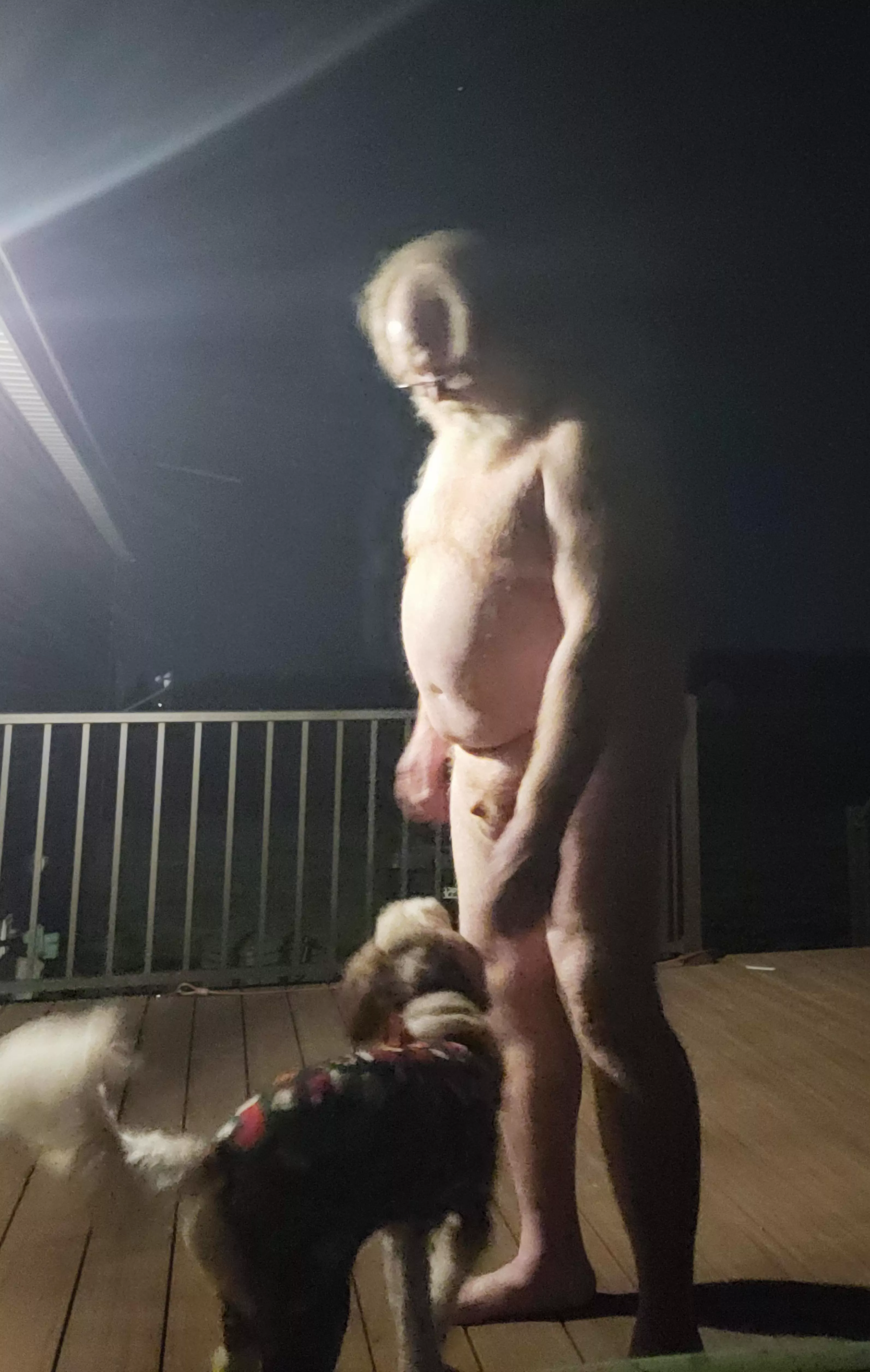 Love it he has more on than I do