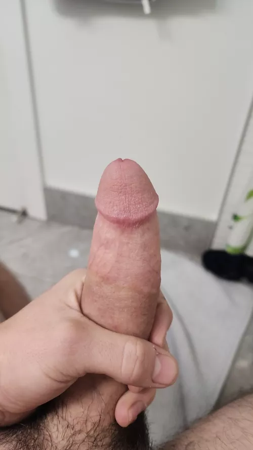 (M)edium size for the ladies 😉