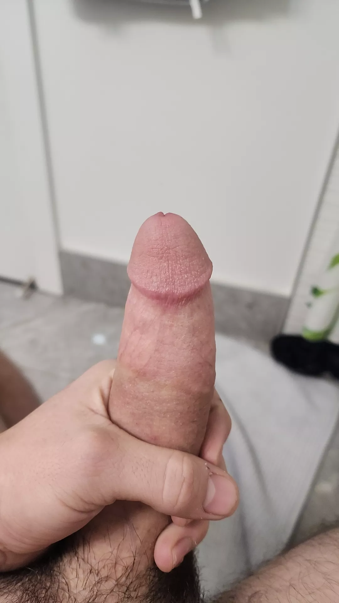 (M)edium size for the ladies 😉