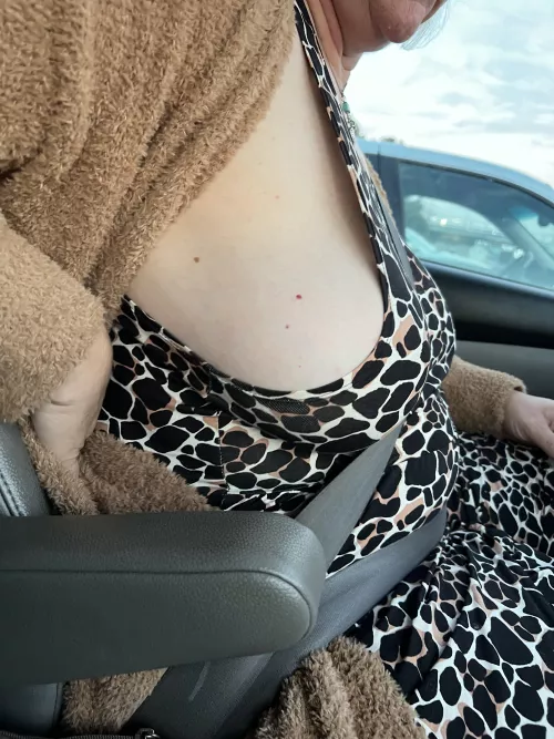 My kitty’s seat belt gone mild