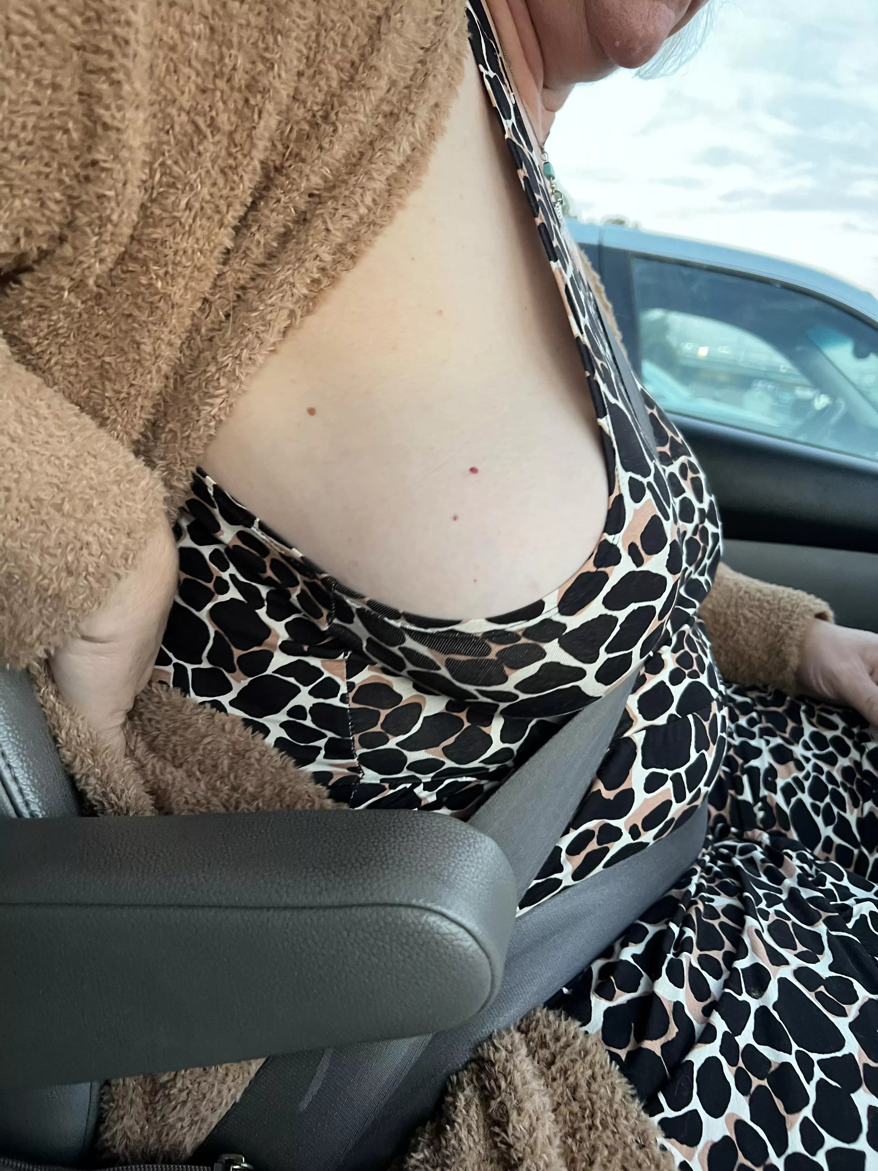 My kitty’s seat belt gone mild