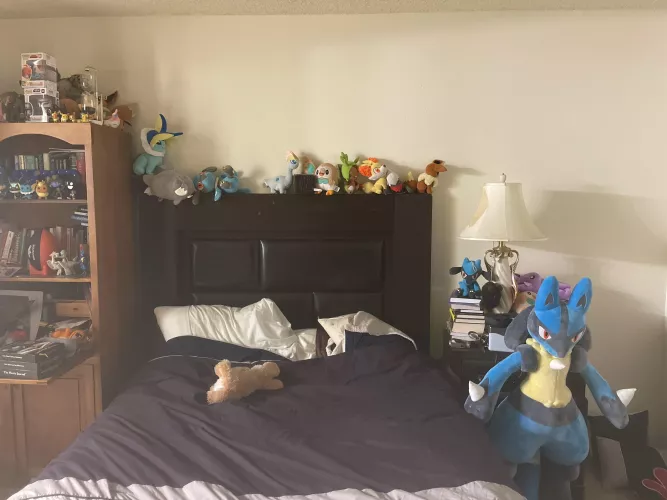 One can never have enough plushies to cuddle