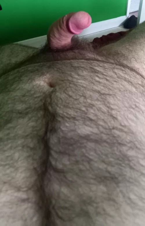 Serious morning horn today