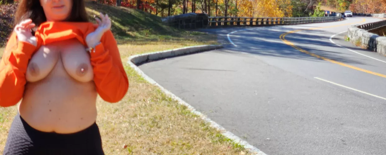 Some pink to go with their fall colors. Traffic in both directions!