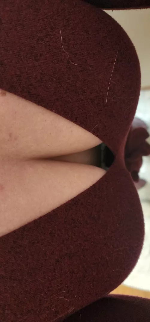 Sorry about the cat hair, but they like my boobs too.