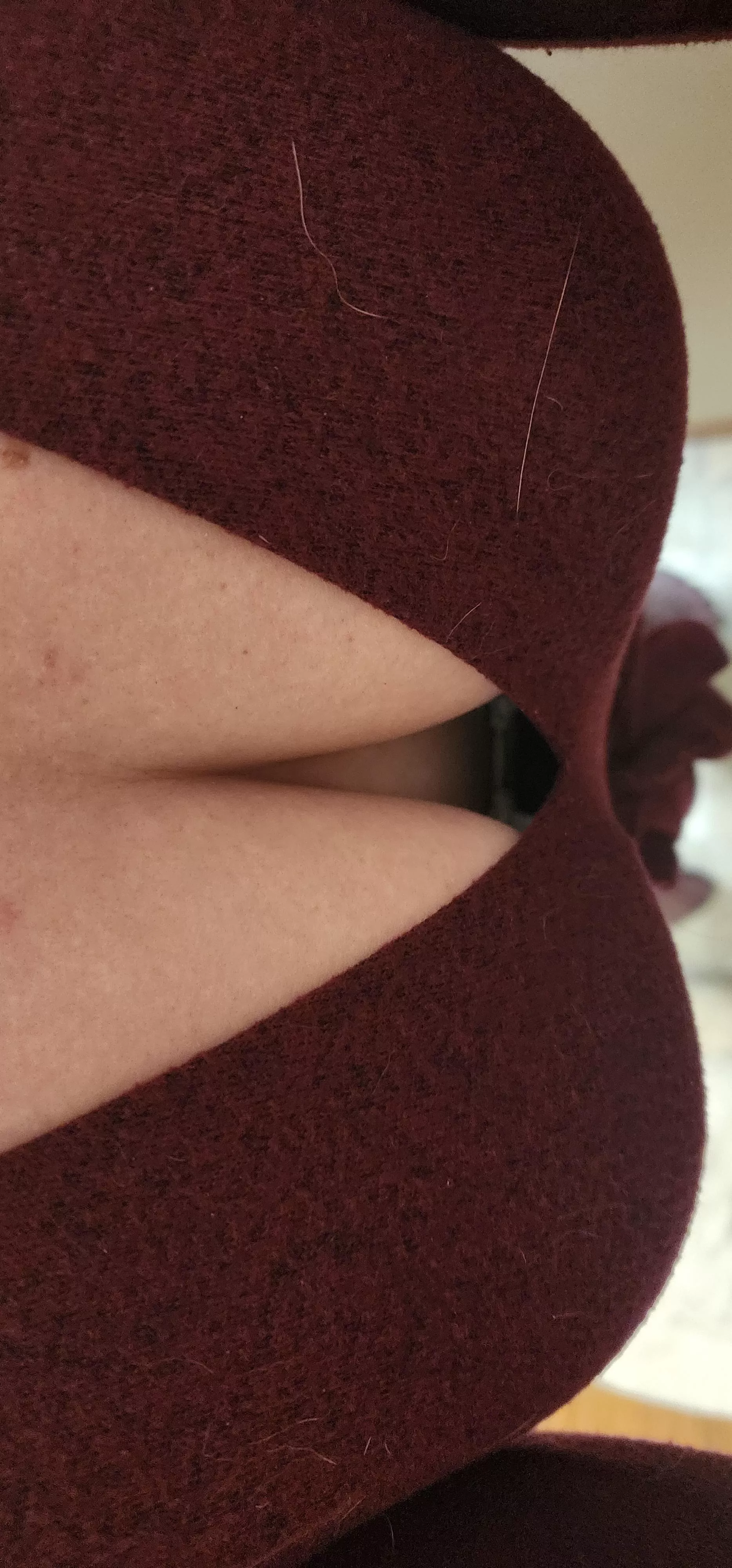 Sorry about the cat hair, but they like my boobs too.