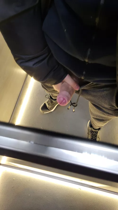 Suck me in the elevator?