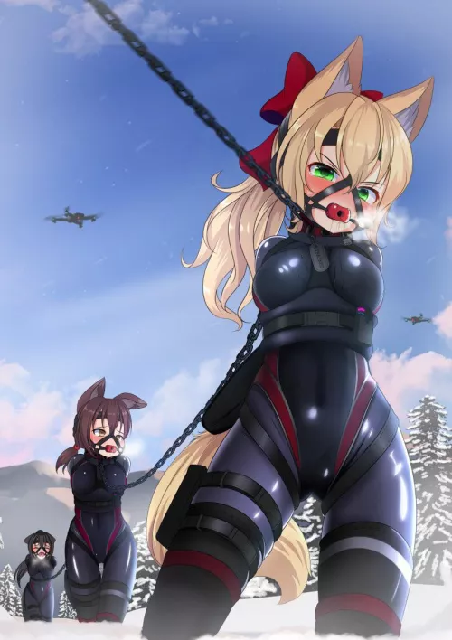 They are on their way to their new home