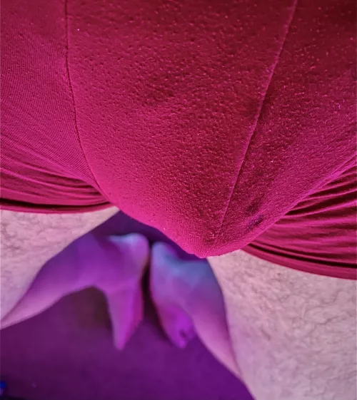 This was an afternoon relaxing. What would you have done? 😉