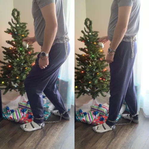 Time to decorate the tree