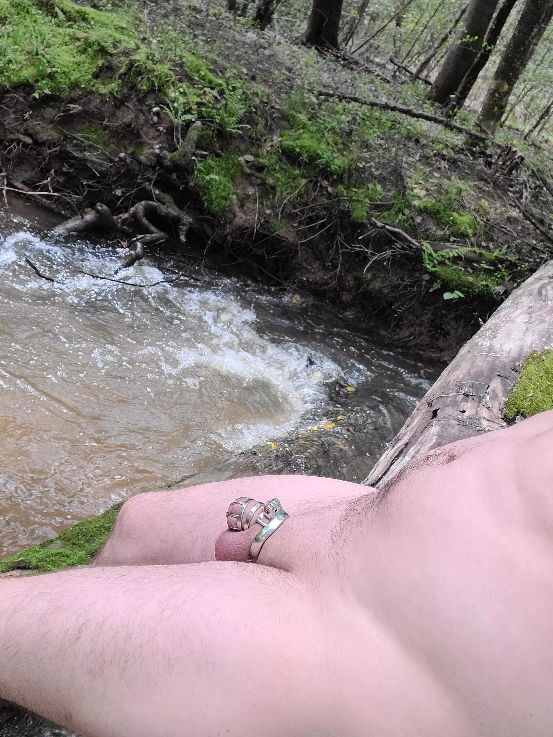 Took a walk along a nearby creek while locked