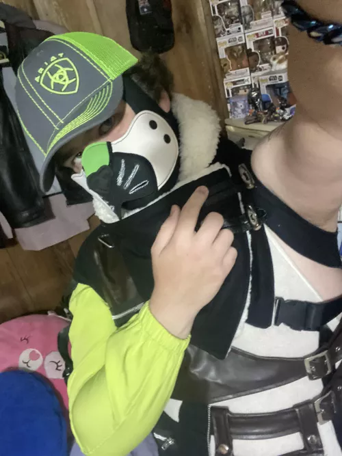 Updating Kittens look bit by bit!