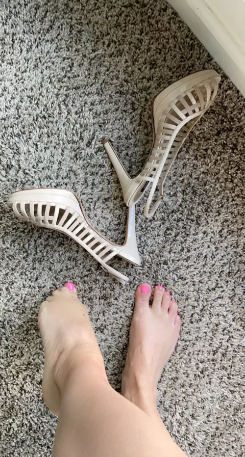 Will this be the perfect for today