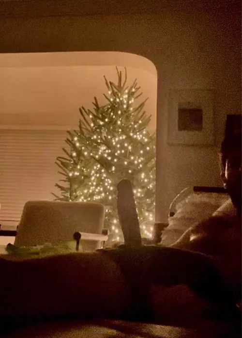 You sitting on a hung ornament > You hanging ornaments on a tree