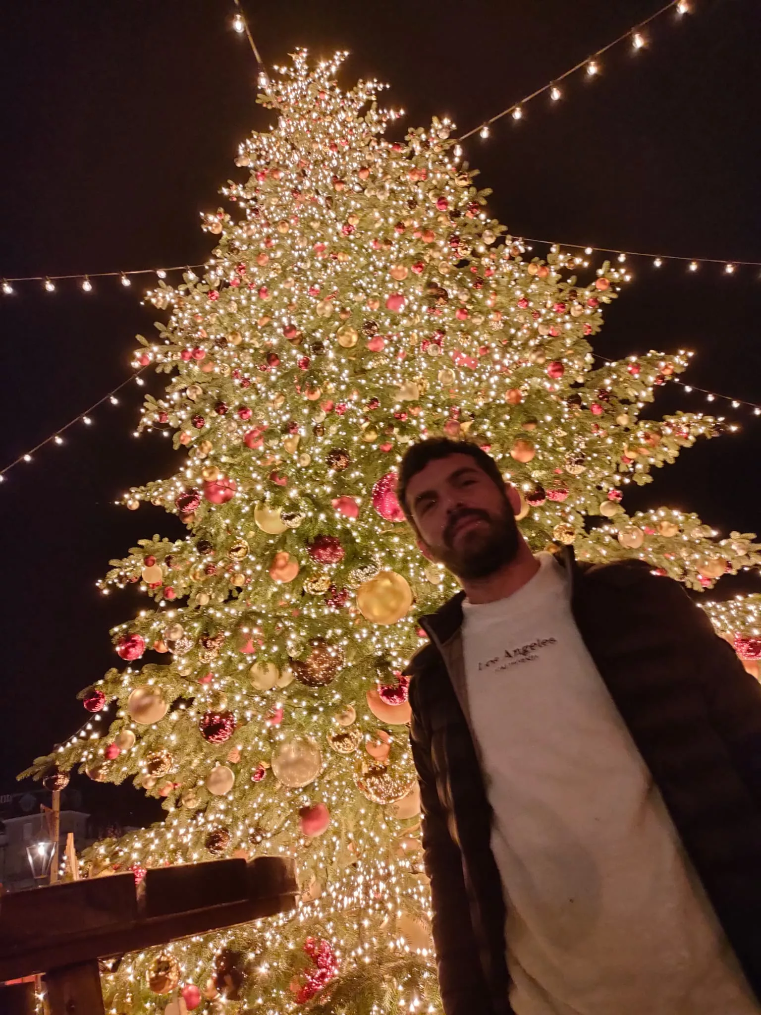 18 mt #christmastree